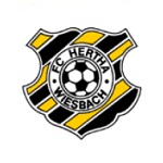 Home Team Logo