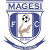 Away Team Logo