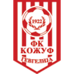 Home Team Logo