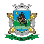 Home Team Logo