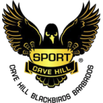 Away Team Logo