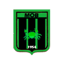 Home Team Logo